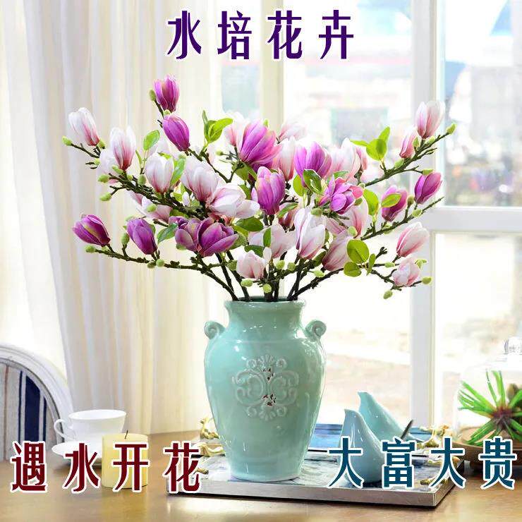遇水开花水培玉兰花卉室内外水培植物办公室绿植净化空气除甲醛高性价比高么？