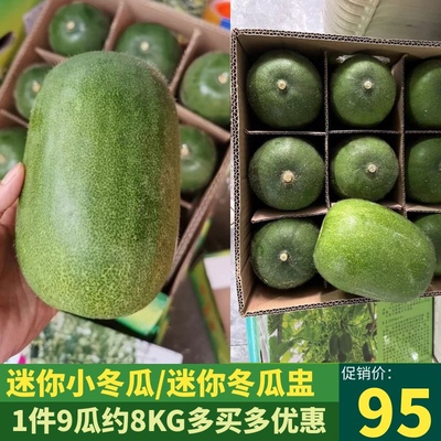 迷你冬瓜1件8kg酒店食材