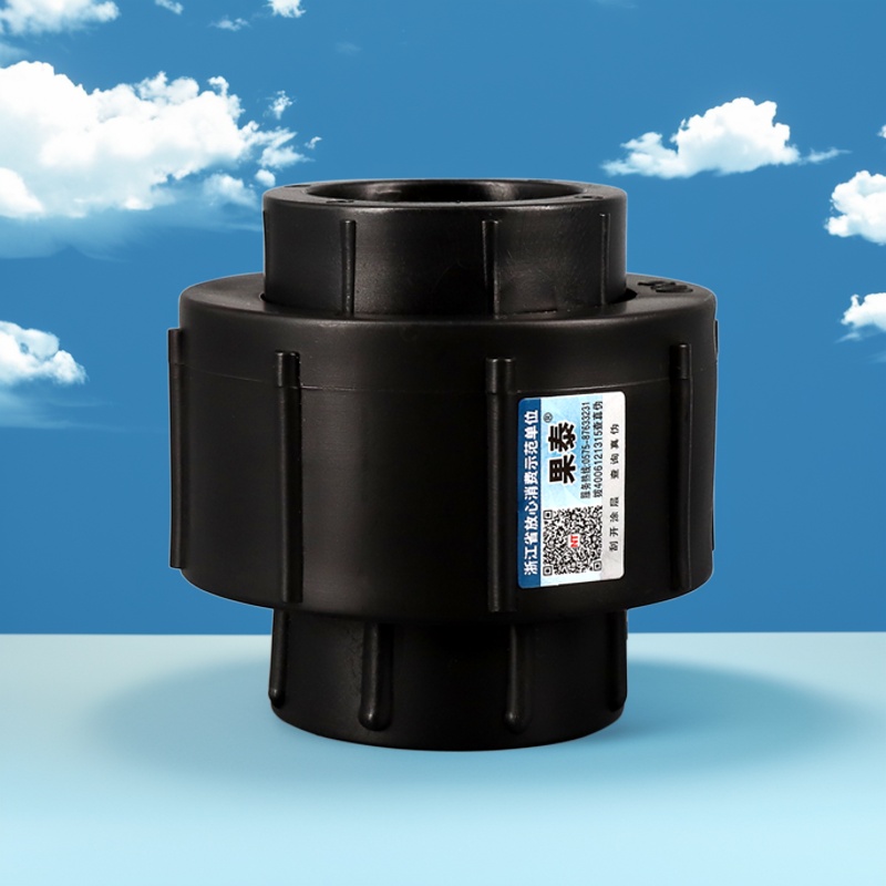 4分6分1寸全塑pe活接pe水管接头