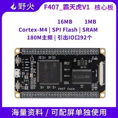 野火STM32开发板 Cortex-M4小型系统板STM32F407ZGT6核心板学习板