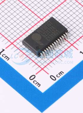 全新原装正品 PL2303GT 贴片SSOP-28  USB转RS232控制器芯片