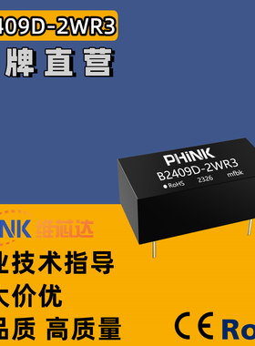 B2409D-2WR3 B2409D-2W/R2 直插式 非稳压单路输出 DC-DC电源模块