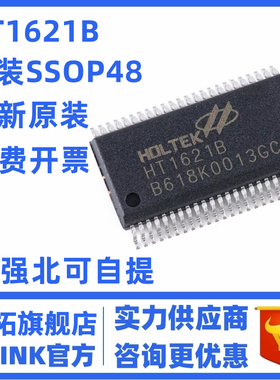 原装正品  HT1621B SSOP-48 RAM映射32*4 LCD控制器芯片I/O MCU