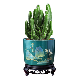 万重山盆栽仙人掌多肉植物室内办公室绿植四季常绿仙人球好养易活