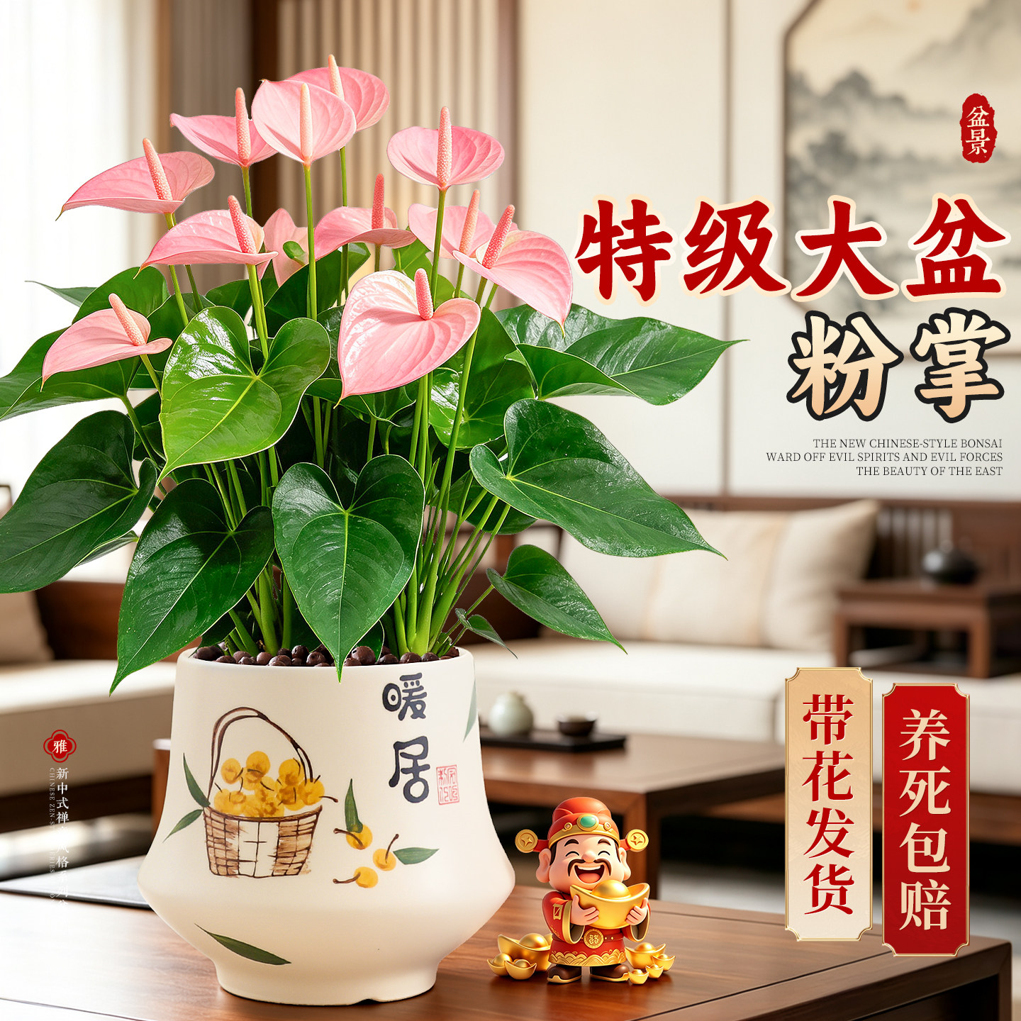 特级带花粉掌盆栽多季开花客厅室内桌面绿植花卉耐阴好养净化空气
