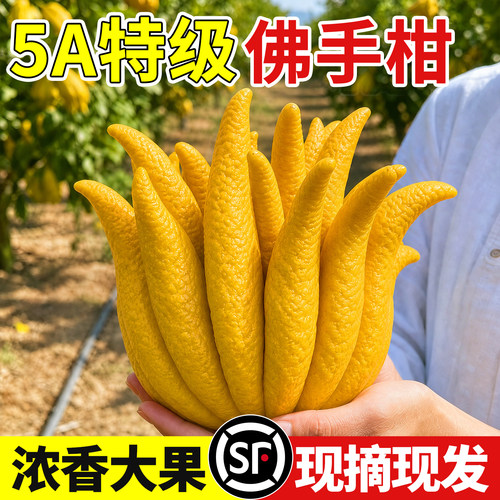 【特级浓香】佛手柑香橼天然香薰