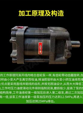 QT31/43-20/25内啮合31.5齿轮泵41/52/53-40/50/50住友型51/63-80