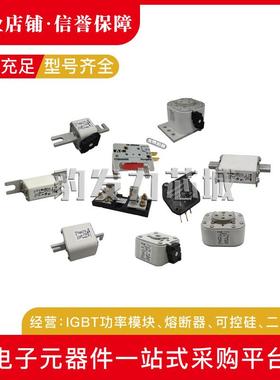 170M3365 170M3366 170M3367 170M3368 170M3369/3370/3371熔断器