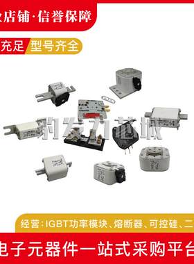 170M3365 170M3366 170M3367 170M3368 170M3369/3370/3371熔断器