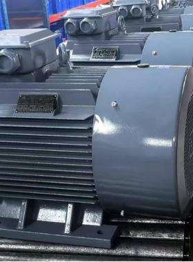 YD YDEJ变极双极三相异步多速电动机厂家直销