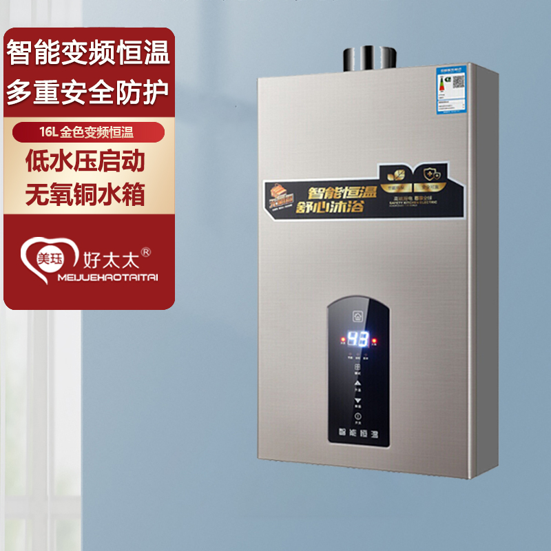 燃气热水器家用天然气液化气煤插电强排式恒温12l16升变频