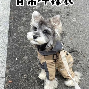 狗狗宠物冲锋衣四脚加绒防水拼接防风帅气猫咪可牵引泰迪比熊防风