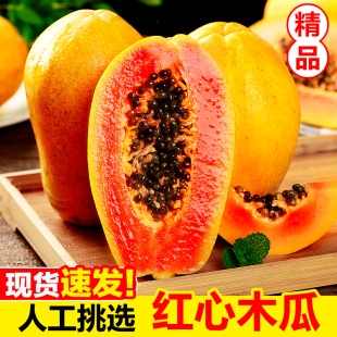 广西牛奶冰糖红心木瓜装新鲜直发当季水果树上熟大果好吃的包邮