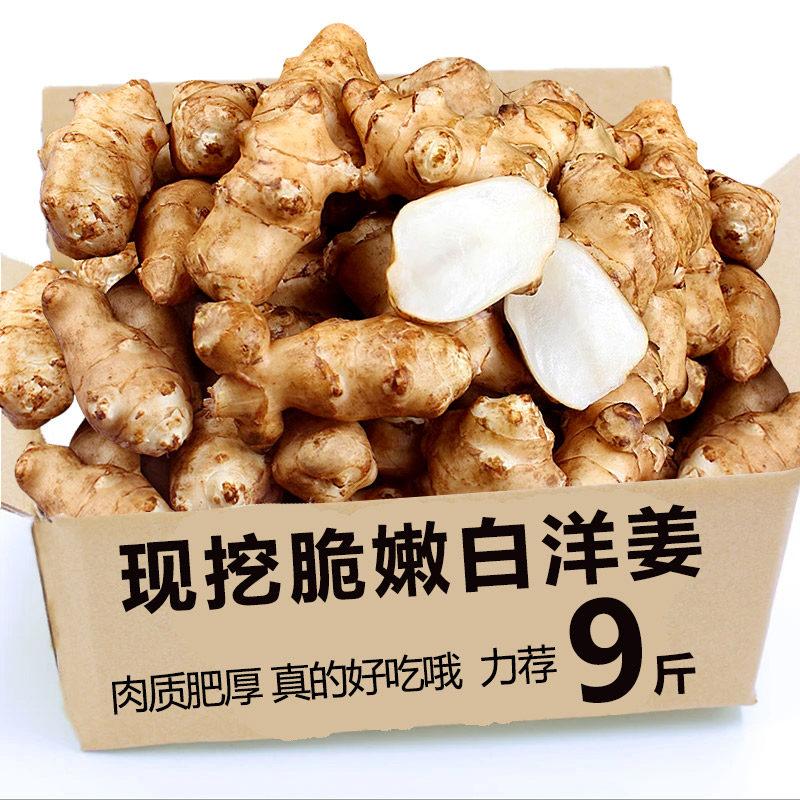现挖现发洋姜批发新鲜野生杨生姜腌制泡菜白姜种子农家自种土特产