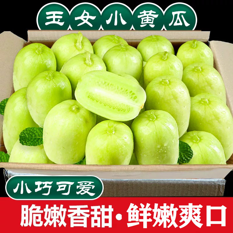 玉女小黄瓜2斤,真的好吃!