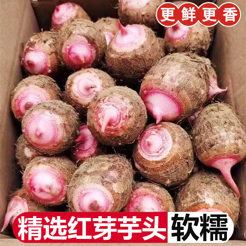 红芽芋头3斤现挖红芽芋头仔农家自种红嘴小毛芋香芋奶软粘粉包邮5
