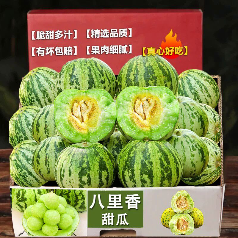 山东八里香花姑娘香瓜新鲜现摘整箱包邮应季时令孕妇水果花蕾甜瓜