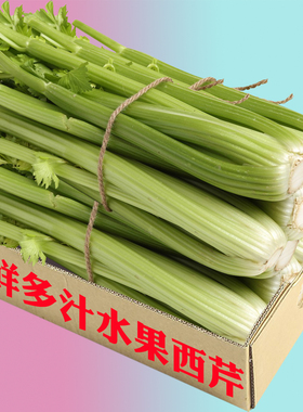 新鲜去叶水果西芹蔬菜大芹菜洋芹菜西餐配菜榨汁蔬菜5斤包邮AAA