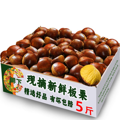 新鲜板栗5斤新上市丹东生板栗红壳毛栗应季水果蔬菜现摘现发货