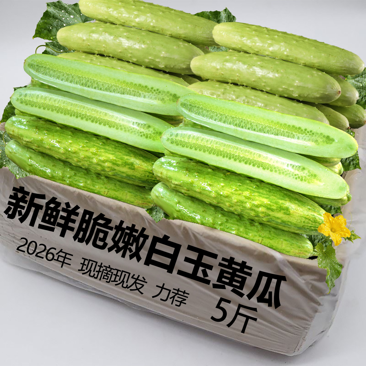 山东小黄瓜新鲜白玉黄瓜生吃孕妇水果应季时令小青瓜脆嫩无刺