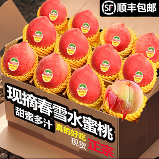 春雪水蜜桃新鲜时令水果5斤现摘当应季整箱孕妇冬桃脆毛桃子现货