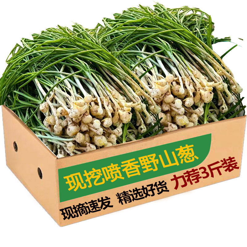 2025野葱新鲜现挖胡葱沙葱野菜带叶带须野农家非藠头野菜5斤包邮,水产肉类/新鲜蔬果/熟食,葱类,淘宝优惠券,粉丝福利购,淘宝优惠卷
