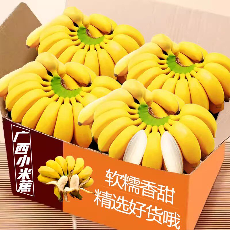 广西正宗小米蕉5斤新鲜香蕉芭蕉水果香焦自然熟整箱苹果蕉粉蕉甜