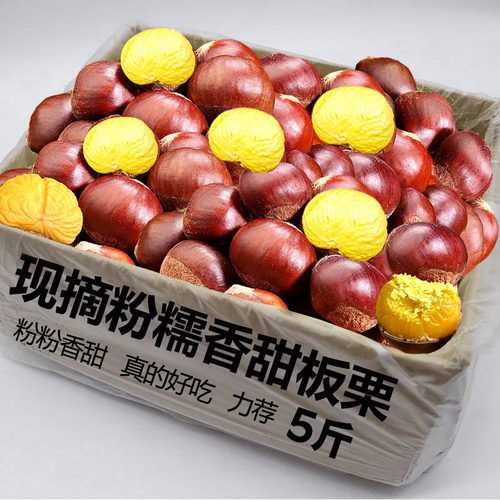 新鲜板栗新上市丹东生板栗红壳毛栗子应季水果蔬菜现摘现包邮发货