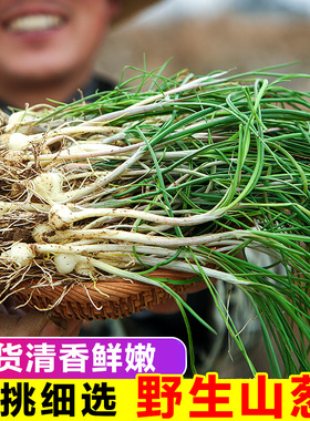 野葱新鲜现挖野生胡葱沙葱野菜带叶带须野农家整箱非藠头野菜包邮