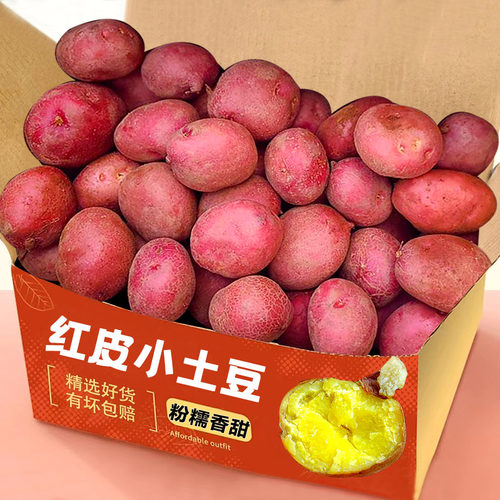红皮土豆5斤，粉糯香甜！