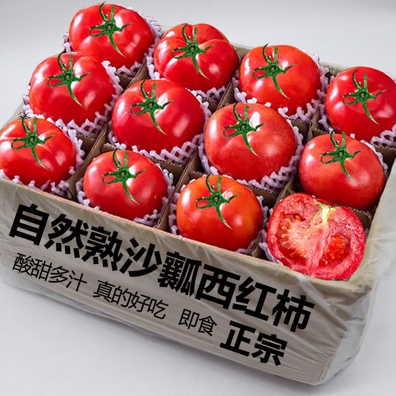 沙瓤西红柿新鲜现摘自然熟生吃好吃整箱番茄四川云南精选产地直发