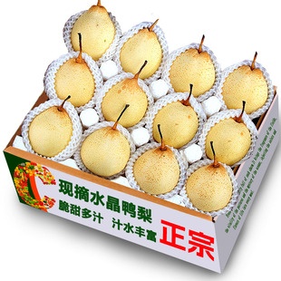 正宗河北鸭梨新鲜水果梨时令当季整箱梨子新鲜雪梨鸭梨水晶梨