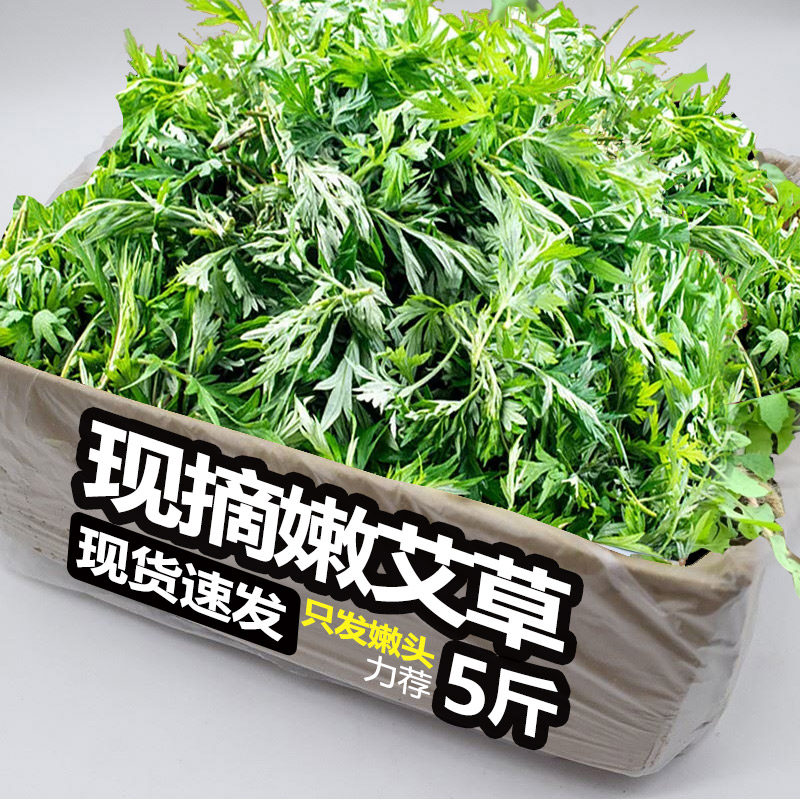新鲜艾草现摘5斤当季食用青团野菜生叶艾蒿整箱清明草糍粑嫩包邮