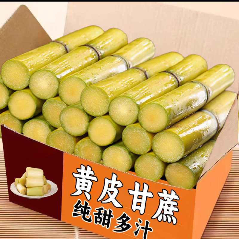 正宗黄金甘蔗当季新鲜脆甜甘蔗现砍中段长节脆甜皮薄9斤包邮