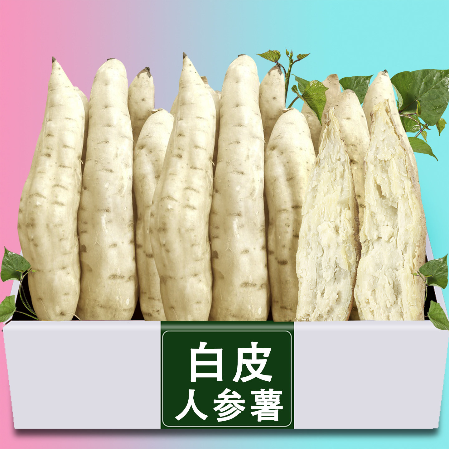 新鲜白皮人参薯现挖现发牛奶白薯粉糯白心板栗薯地瓜山芋超粉番薯