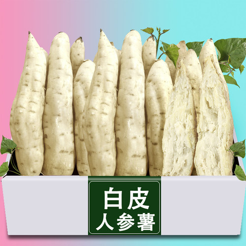新鲜白皮人参薯现挖9斤