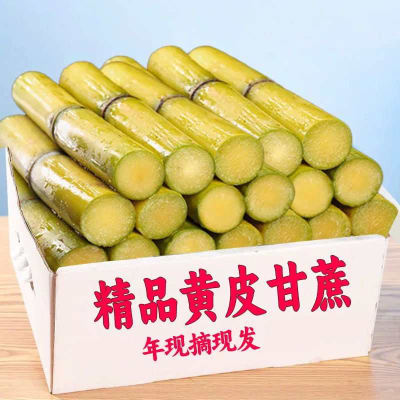 正宗黄金甘蔗当季新鲜脆甜甘蔗现砍中段长节脆甜皮薄9斤包邮A