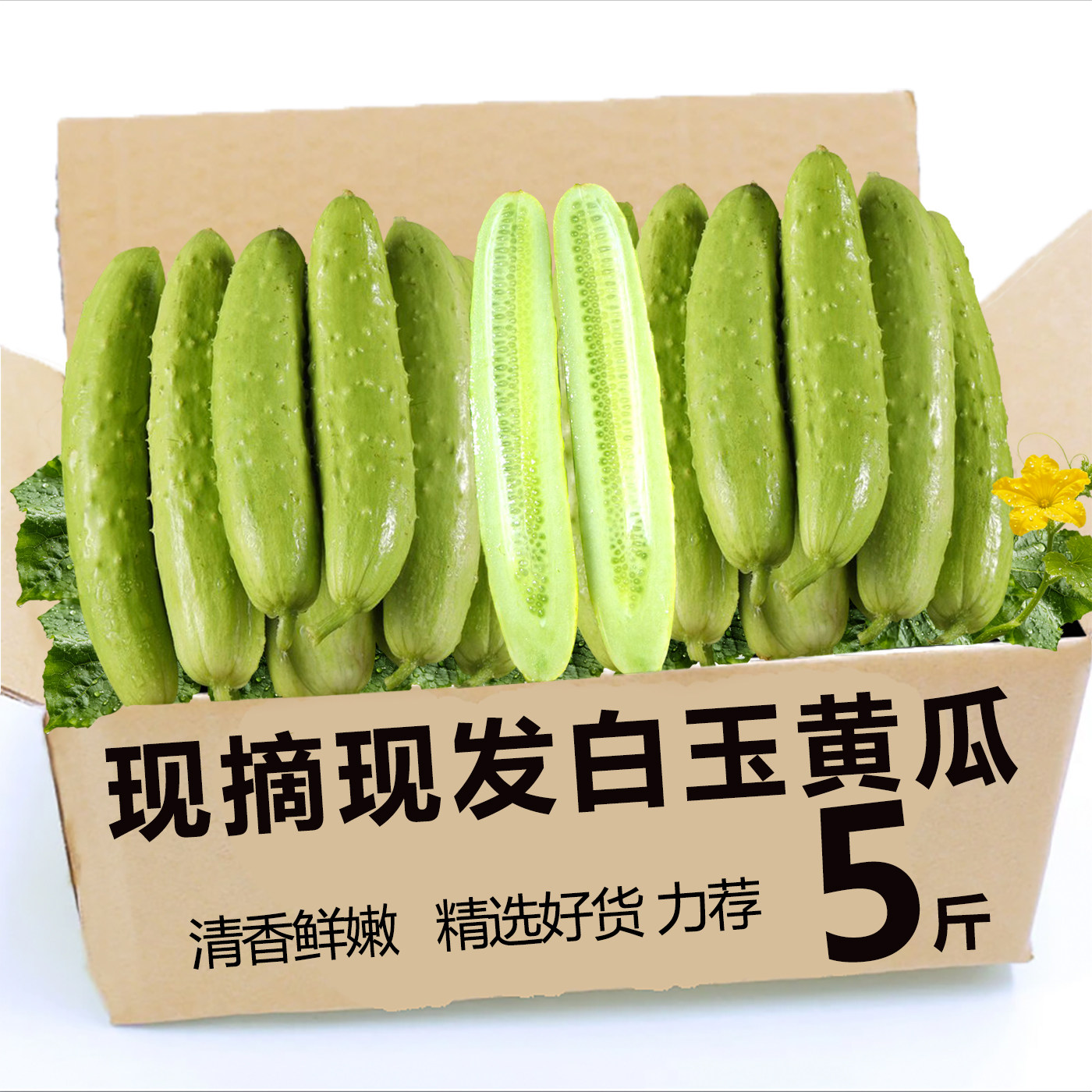 新鲜正宗白玉黄瓜当季新鲜水果孕妇生吃脆嫩鲜香即食当季现摘5斤