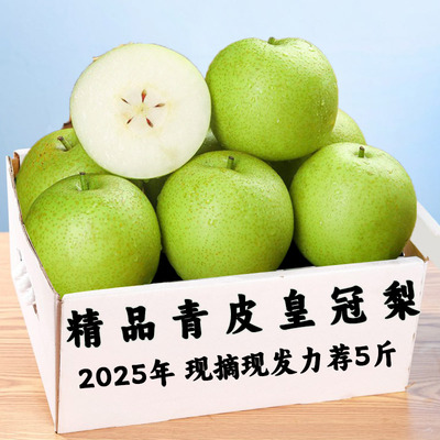 现摘新鲜青皇冠梨新鲜现摘现发当季水果脆甜多汁青皮梨新鲜现摘发