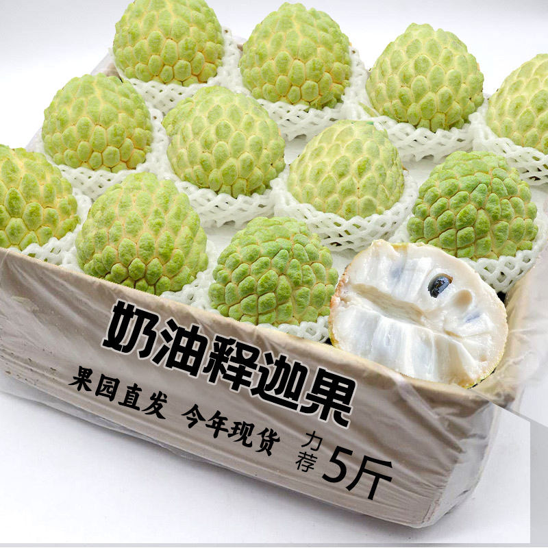 新鲜现摘释迦果5斤应当季水果香甜包邮番荔枝果佛头瓜牟尼果
