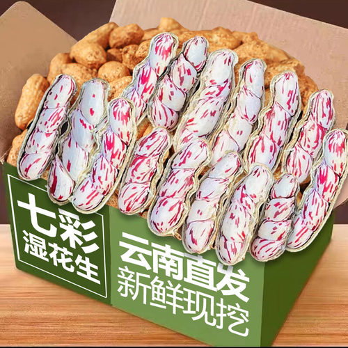 新鲜现挖七彩花生云南带壳新货香甜原味整箱水果湿花生可水煮包邮
