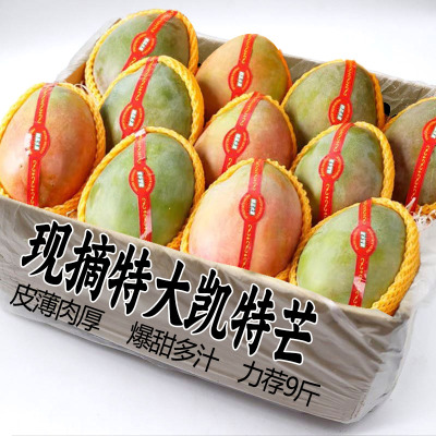 2025新鲜现摘凯特芒9斤礼盒装