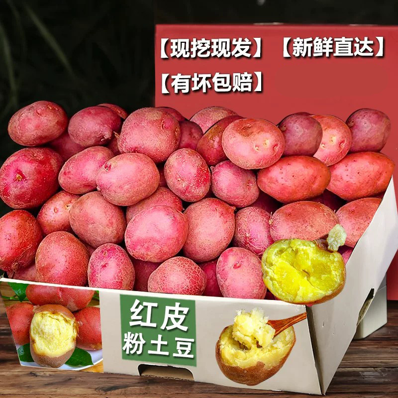 红皮小土豆5斤，粉糯香甜！