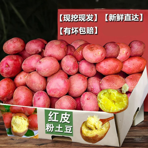 正宗云南红皮土豆3斤，粉面香甜