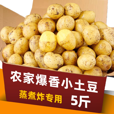 正宗高山糯甜小土豆包邮