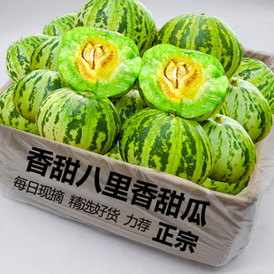 八里香花姑娘美人香瓜应季时令水果新鲜现摘脆甜蜜瓜花蕾甜瓜孕妇