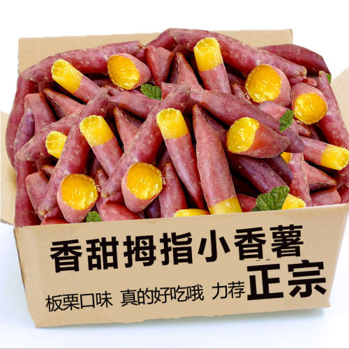 拇指小香薯16-25枚，粉糯甘甜！