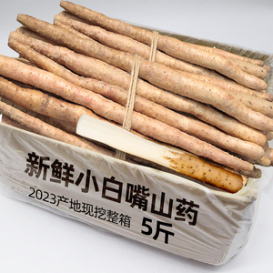 2023新鲜现挖小白嘴山药新鲜蔬菜5斤淮山药铁棍铁杆蔬菜整箱包邮1