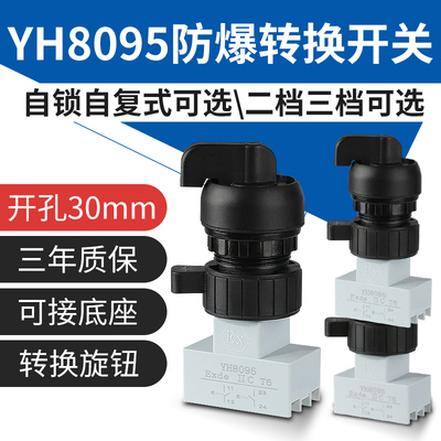 YH8095防爆转换开关自锁型自复式