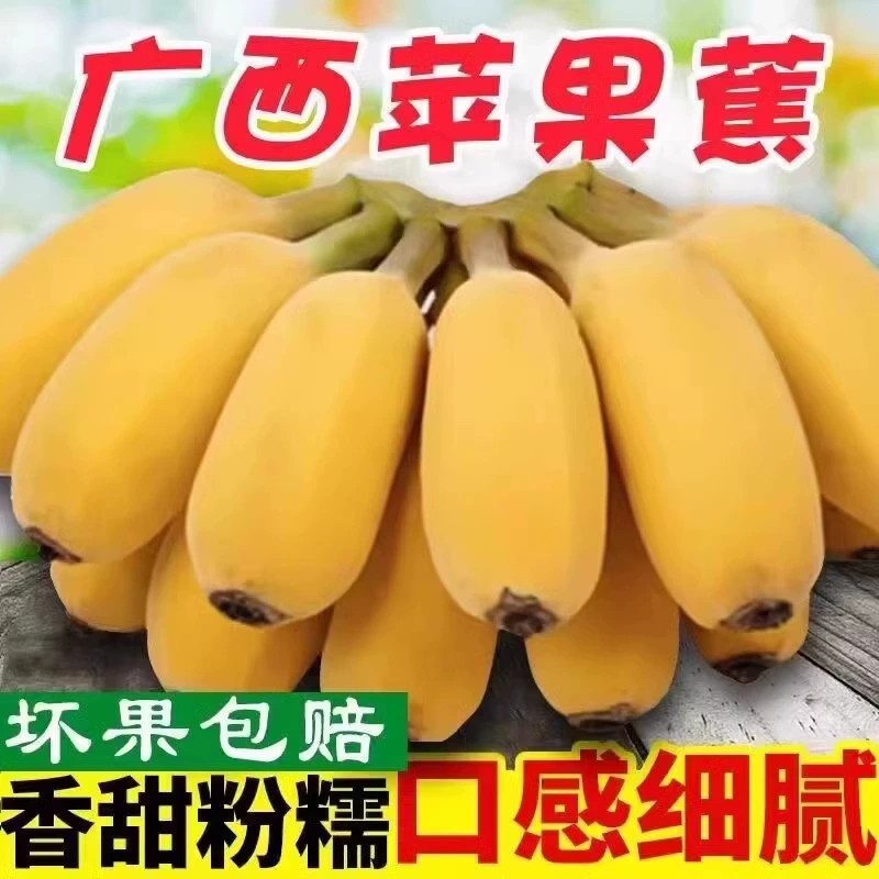 【广西苹果蕉】新鲜当季香蕉八成香蕉